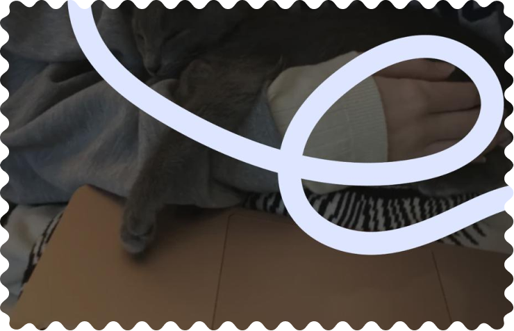 What Should a Creator Include in a Portfolio in 2026